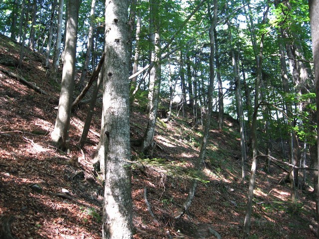 Grebenček desno od bolnice
