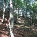 grebenček desno od bolnice