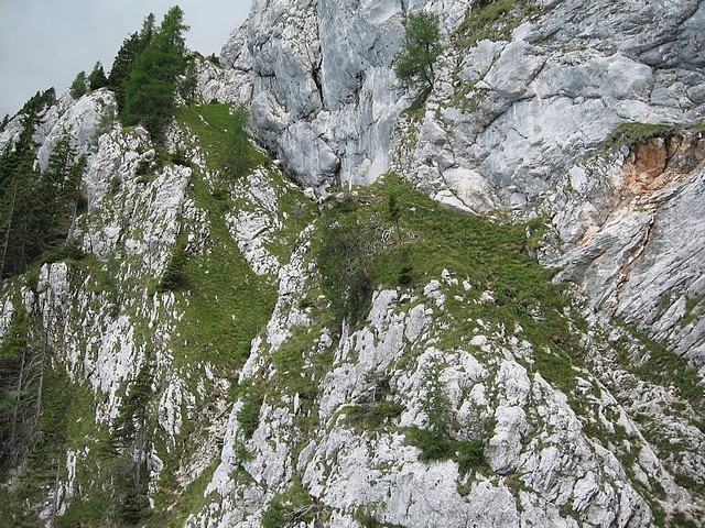 Pogled nazaj