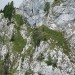 pogled nazaj