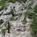 edini klini na tej strani - lahko bi bil kakšen več, ko je že ravno markirano