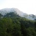na travnate zaplate na desni bo treba priti