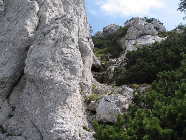 Proti vrhu