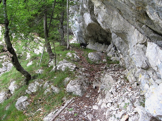 Stezica pod previsnimi stenami