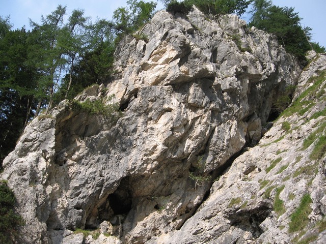 Pogled nazaj preko grape