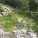 ...v strme trave