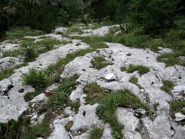 In navzdol v 