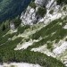 čez grapo in spodaj pri zadnji skalci desno
