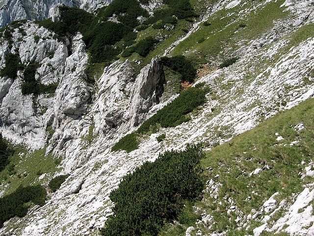 Po sledeh na osrednji grebenček in spust desno ob njem