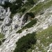 po sledeh na osrednji grebenček in spust desno ob njem