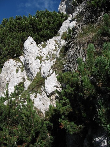 Pa sem šla naokrog nazaj po njo in spoznala še lažjo varianto