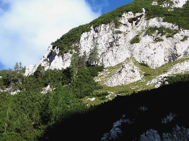 Proti prehodu na Planjavske zelenice