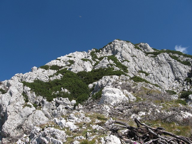 Končno čistina