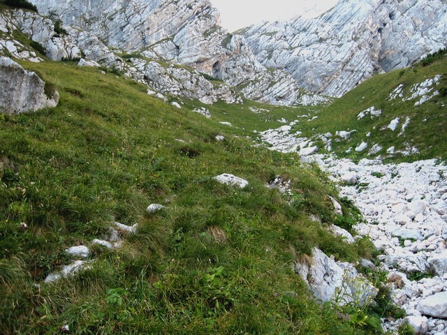 v zgornjem delu gre steza malo po travah in malo po grapi vse do Koglove stene, kjer se ob