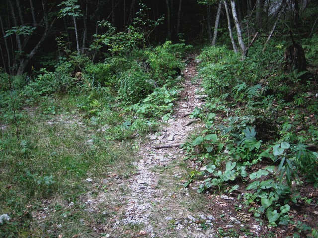 Nato preide v stezico, ki se v ključih dviga skozi gozd - na desni strani imamo Mali Hudi 