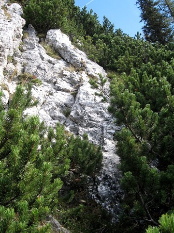 Med steno in rušjem na vrh