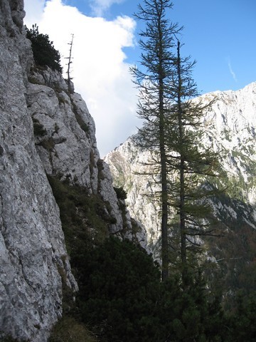 Levo na vrh, desno okrog - če bi tole prej vedela...