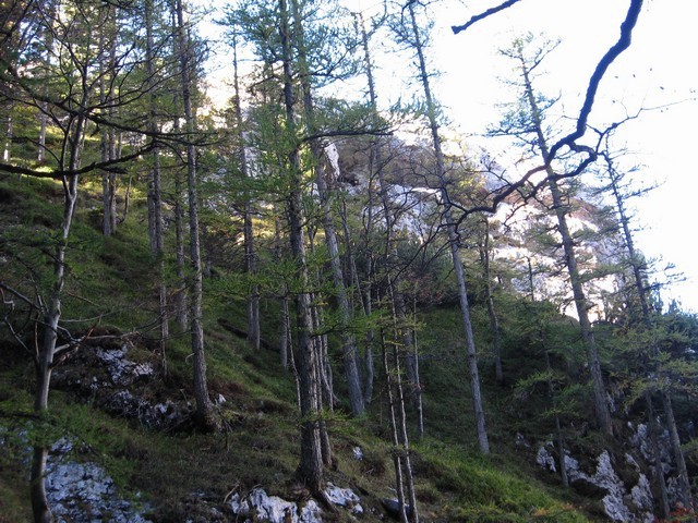 Proti grebenu