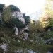 ...a še vedno gre brez lomastenja po ruševju