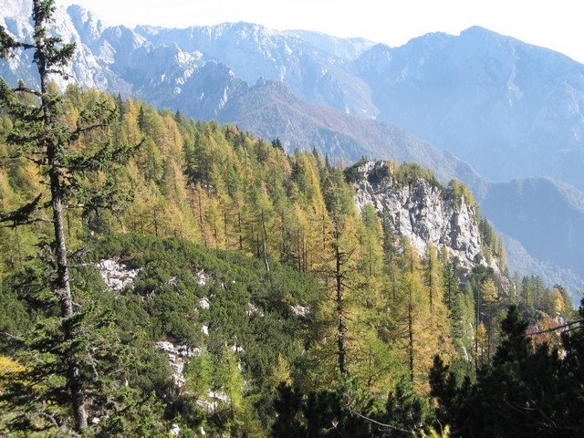 Razglednik nad Kurjo dolino