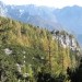 razglednik nad Kurjo dolino