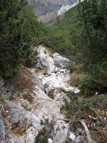 Po grapi navzdol