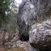 drevo pod spodmolom