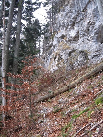 Pod stenami