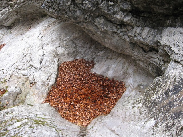Malce drugačen tolmuček