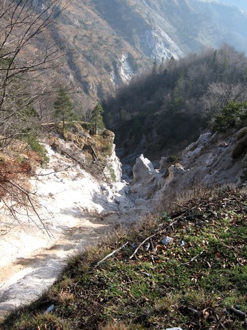 Zgleda prehodno