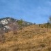 proti prvemu razgledišču na grebenu - zadaj Pokovše