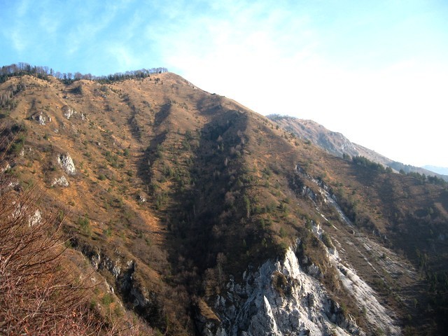 Planjava