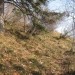 stečin je na pretek - le pravo je treba izbrati