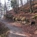 kolovoz pelje na Kuharjevo - midve pa greva desno na greben