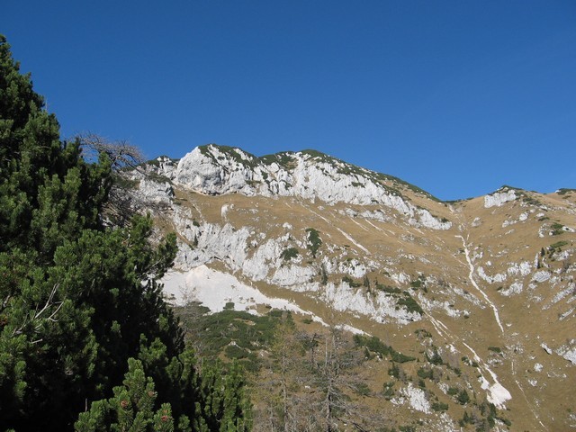 Kompotela