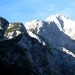 Kogel, Skuta