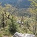 grebenček proti Kopiščem