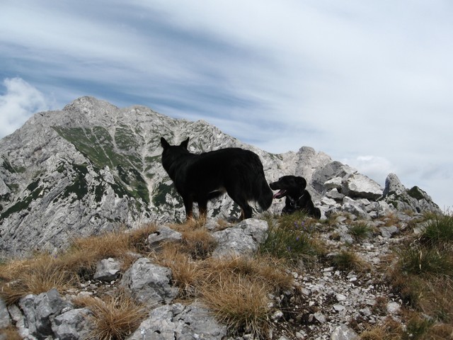 Na vrhu
