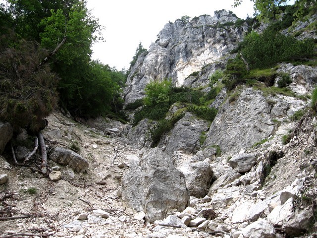 Po grapi pod Dedcem navzgor