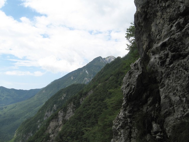 Mešenik, Mokrica