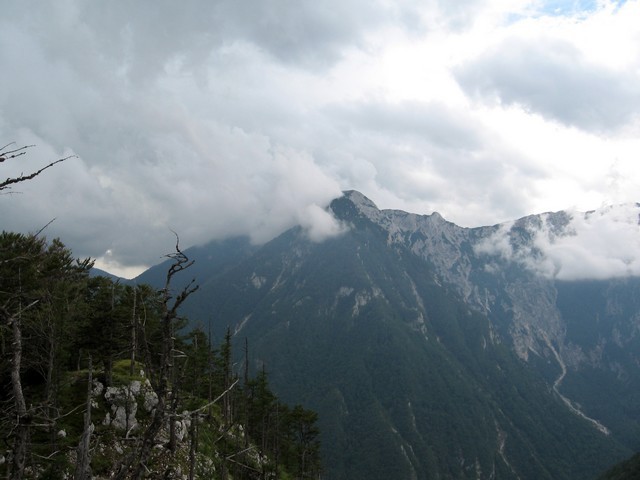 Nad Mokrico grmi