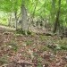 pod skalami dolga prečnica desno