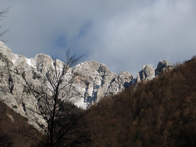 Zeleniške