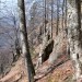 v bližini teh skal jo spet najdem, prazaprav jo bolj slutim