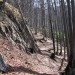 spust v grapo in po levi strani navzgor - stezica izgine