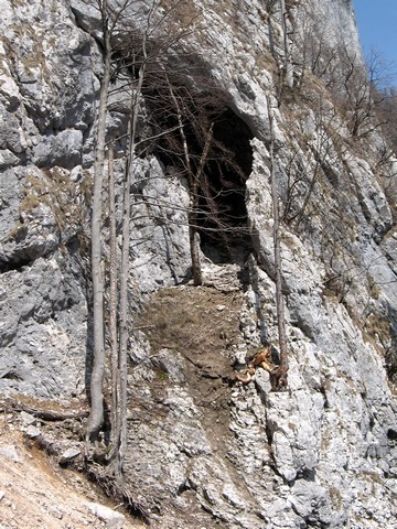 In prikaže se vhod