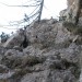 svet nad Kovačnico - mogoče nekoč