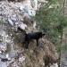 še posnetek z vrha na zadnji del dostopa
