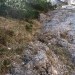 nato ob njem navzgor na grebenček