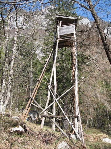 V ključih skozi gozd mimo nove lovske preže